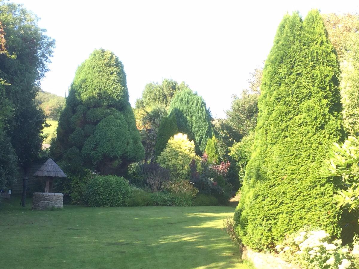 Abbotsbury Tea Rooms 外观 照片