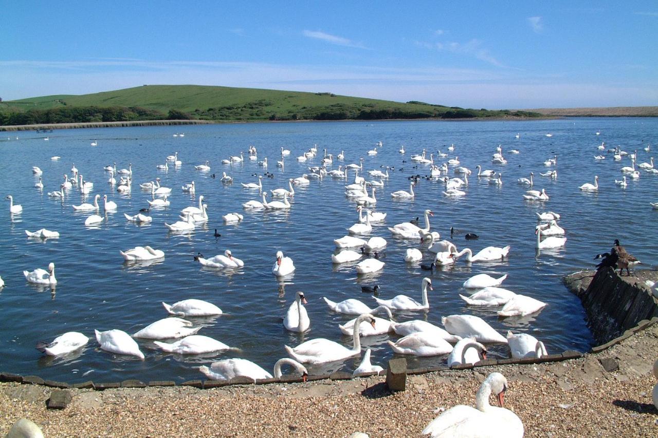 Abbotsbury Tea Rooms 外观 照片
